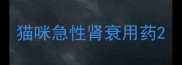 猫咪急性肾衰用药