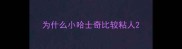 为什么小哈士奇比较粘人