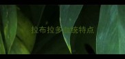 拉布拉多血统特点