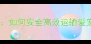 宠物空运陆运全流程指南如何安全高效运输爱宠注意事项及办理攻略