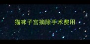 猫咪子宫摘除手术费用