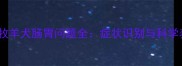 纯种边境牧羊犬肠胃问题全症状识别与科学养护指南