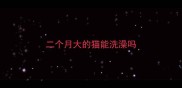 二个月大的猫能洗澡吗