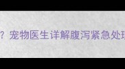 小狗拉稀东倒西歪怎么办宠物医生详解腹泻紧急处理指南附症状自检表