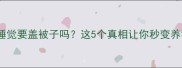 狗狗晚上睡觉要盖被子吗这5个真相让你秒变养狗达人
