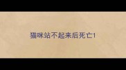 猫咪站不起来后死亡