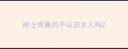 哈士奇真的不认识主人吗