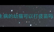生病的幼猫可以打疫苗吗