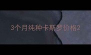 3个月纯种卡斯罗价格
