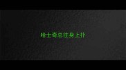 哈士奇总往身上扑