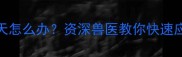 2个月大幼猫拉稀3天怎么办资深兽医教你快速应对的6大关键措施