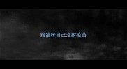 给猫咪自己注射疫苗