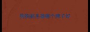 狗狗剃毛器哪个牌子好