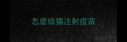 怎麼给猫注射疫苗