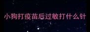 小狗打疫苗后过敏打什么针