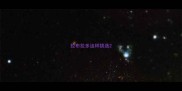 拉布拉多这样挑选