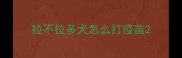 拉不拉多犬怎么打疫苗