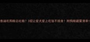 泰迪吃狗粮总吐粮3招让爱犬爱上吃饭不挑食附狗粮避雷清单