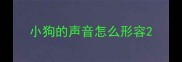 小狗的声音怎么形容