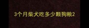 3个月柴犬吃多少颗狗粮