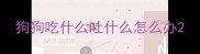 狗狗吃什么吐什么怎么办