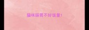 猫咪肠胃不好饭量