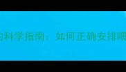 边牧幼犬夜间喂食的科学指南如何正确安排喂食时间与营养配比