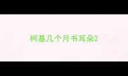 柯基几个月书耳朵