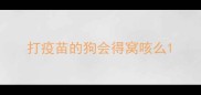打疫苗的狗会得窝咳么