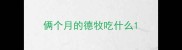 俩个月的德牧吃什么