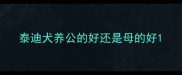 泰迪犬养公的好还是母的好
