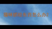 猫咪抓咬东西怎么办