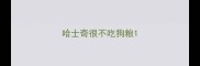 哈士奇很不吃狗粮