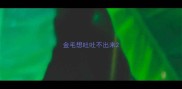 金毛想吐吐不出来