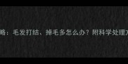 小狗换毛期护理全攻略毛发打结掉毛多怎么办附科学处理方法与日常预防技巧