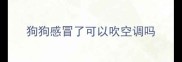 狗狗感冒了可以吹空调吗