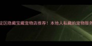 北京海淀区隐藏宝藏宠物店推荐本地人私藏的宠物服务攻略