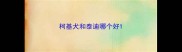 柯基犬和泰迪哪个好