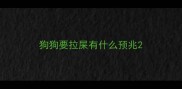 狗狗要拉屎有什么预兆