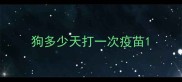 狗多少天打一次疫苗
