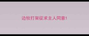 边牧打架征求主人同意