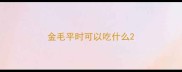 金毛平时可以吃什么
