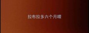 拉布拉多六个月喂