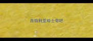 西伯利亚哈士奇吧
