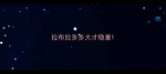 拉布拉多多大才稳重