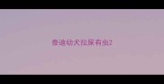 泰迪幼犬拉屎有虫