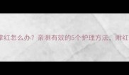 拉布拉多脚掌红怎么办亲测有效的5个护理方法附红肿脱皮全攻略