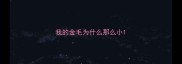 我的金毛为什么那么小