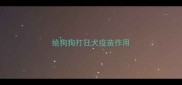 给狗狗打狂犬疫苗作用