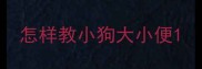 怎样教小狗大小便